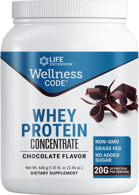 Wellness Code Whey Protein Concentrate Choco Flav 1